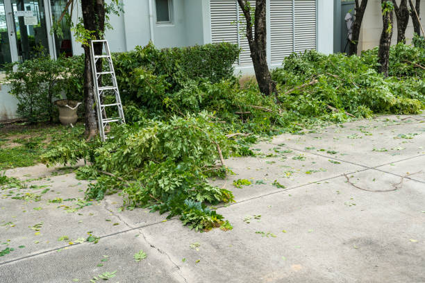 Best Lawn Drainage Solutions  in One Loudoun, VA
