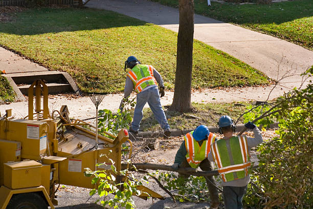 Best Lawn Maintenance Plans  in One Loudoun, VA
