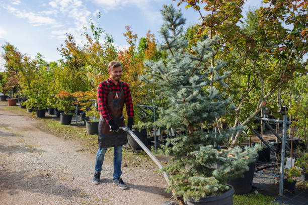Best Soil Testing and Treatment  in One Loudoun, VA