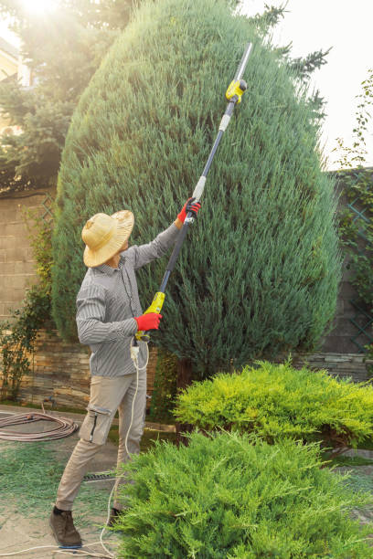 Best Weed Control  in One Loudoun, VA
