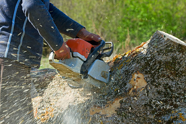 Lawn Irrigation Installation and Maintenance in One Loudoun, VA